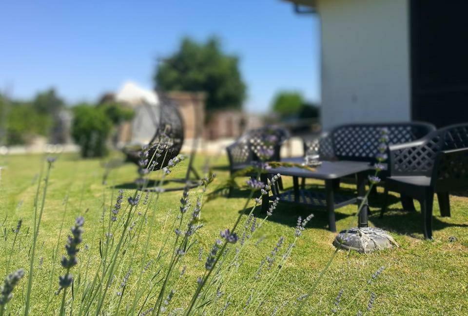 Agriturismo La Valle Dell'albegna *