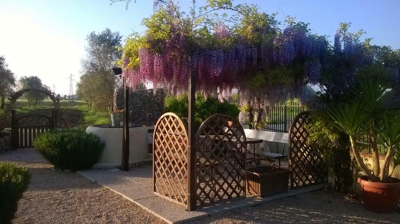 Agriturismo La Valle Dell'albegna Farm stay